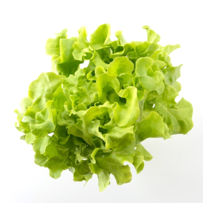 Lettuce خَسّ